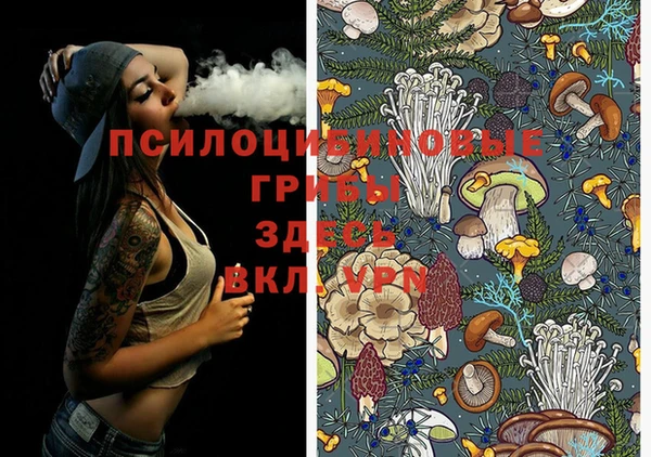 мдпв Козловка