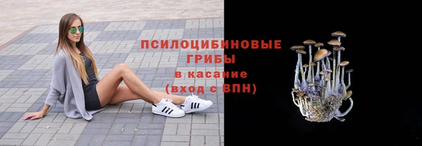мдпв Козловка