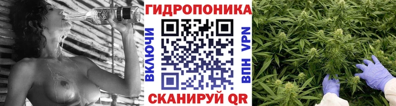 Купить  Грязовец  Каннабис THC 21% 